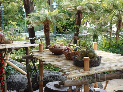 スイスファミリー・ツリーハウス：果物