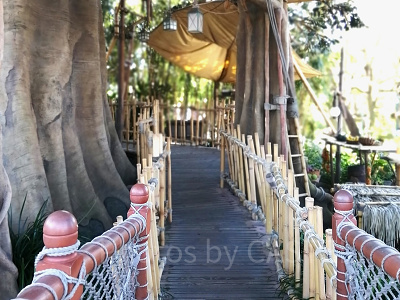  スイスファミリー・ツリーハウス