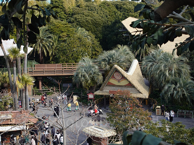 スイスファミリー・ツリーハウス：アドベンチャーランドを一望できる