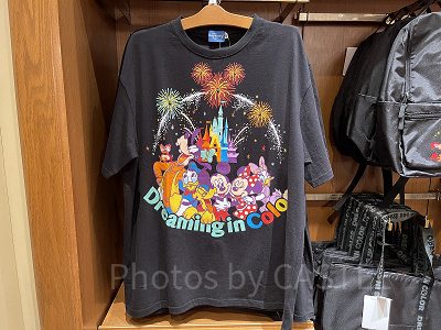 Ｔシャツ（ブラック）／Dreaming in Color