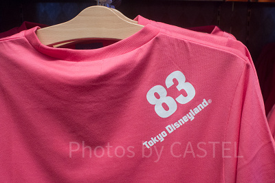 Tシャツ（ディズニーランド／背）