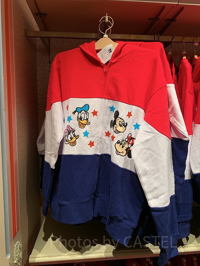 チームディズニーパーカー2019
