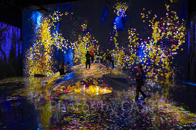 チームラボボーダレスお台場のアート作品紹介