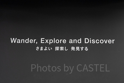 チームラボ ボーダレスお台場 入り口