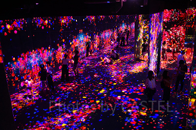 チームラボ　ボーダレスお台場の幻想的な空間