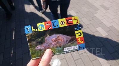 天王寺動物園の入園チケットの半券