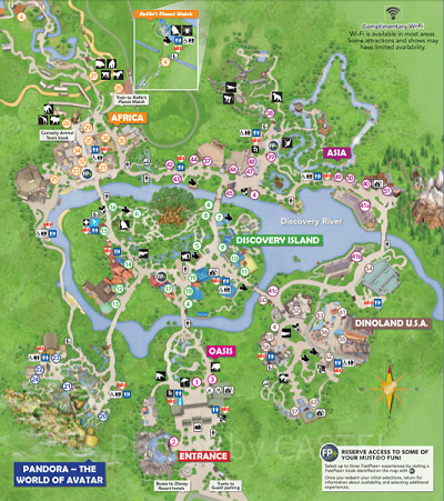 アニマルキングダムの最新地図