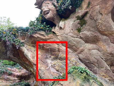 ピーターパンの下にティンカーベルもいます！