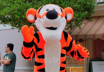 ティガーのプロフィール