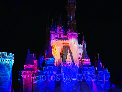 ティンカーベル