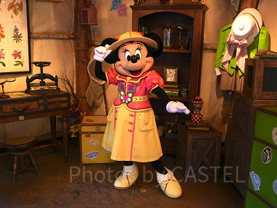 ディズニーのグリーティングを楽しむコツ！