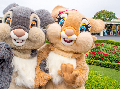 とんすけ&ミスバニー