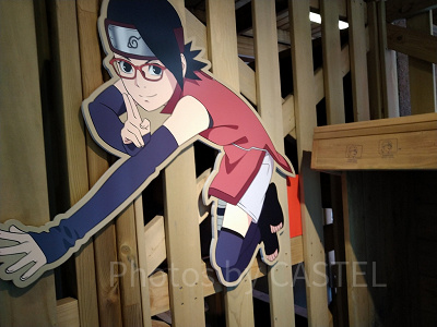 うちはコースのサラダ