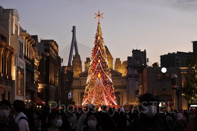 ユニバのクリスマスツリー（過去撮影）