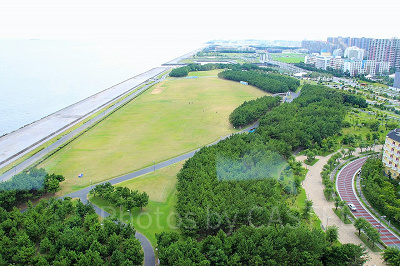 浦安市総合公園
