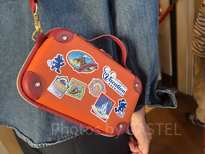 ディズニー】バケーションパッケージを体験してみた！2日間のタイム