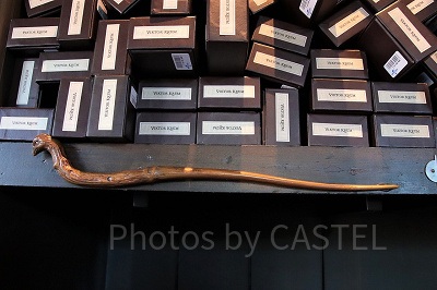 ビクトール・クラムの杖