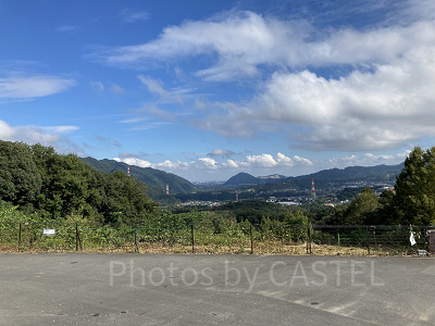 プレジャーフォレストから見た周辺の様子