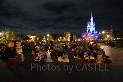 シンデレラ城前の鑑賞スペース