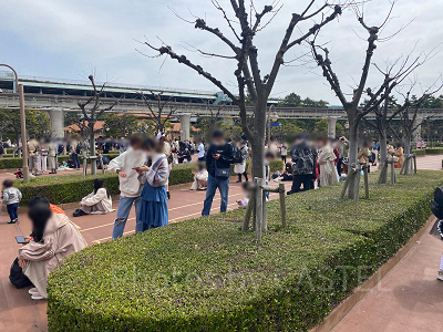 ディズニー10時半入園】チケットを攻略！混雑状況は？エントリー受付＆スタンバイパスについても！