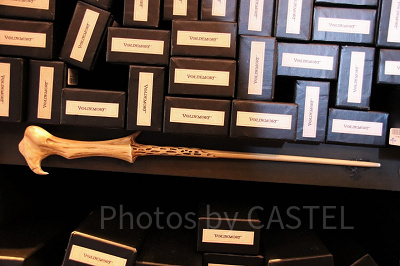 ヴォルデモートの杖