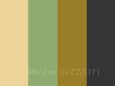 ワサビ（普段着）コーデのカラー