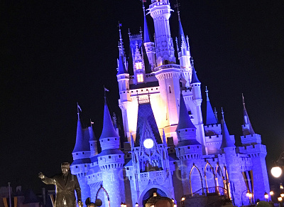 WDW旅行記】フロリダディズニーを遊びつくす方法！事前準備＆当日の