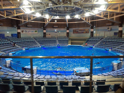 平日夜は比較的閑散期になっています