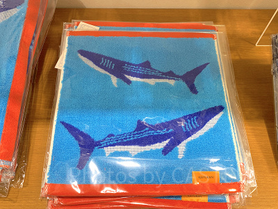 ジンベエザメのハンドタオル