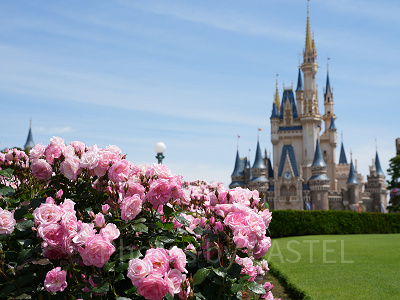 県民の日って何？