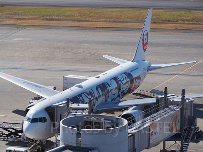 ディズニーのJALダイナミックパッケージとは?