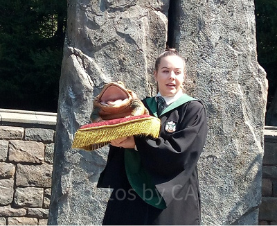 「フロッグ・クワイア」のタイムスケジュールは?