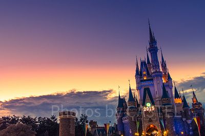 2018-2019年の気になるチケット倍率は？