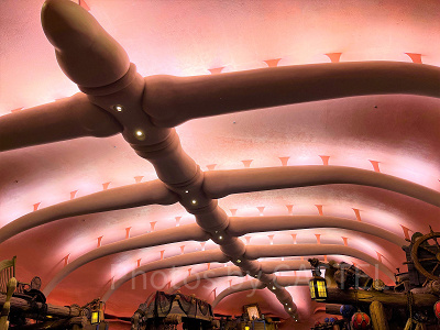 スリーピーホエール・ショップはどんなお店？