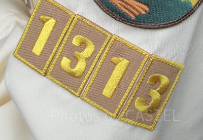 これは何のマーク？