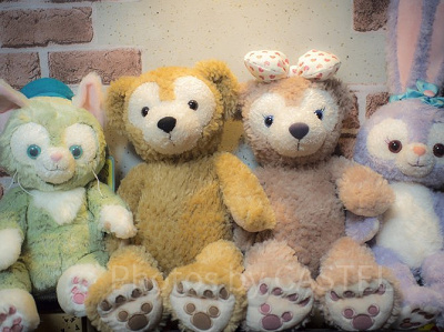 ディズニーシーの食事、何にする?