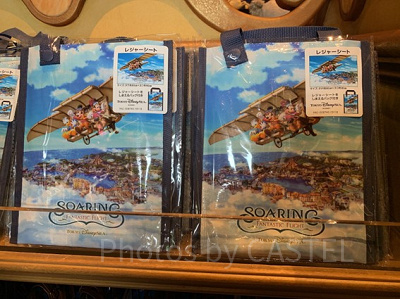 実際は必要なかった持ち物⑩レジャーシート