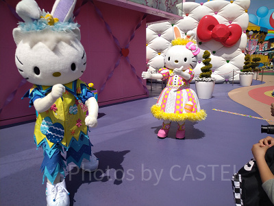 「イベントワクワク割」の開始時期は?