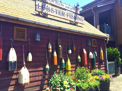 ケープコッドの地名の由来とは？