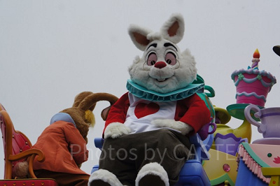 ホワイト・ラビット