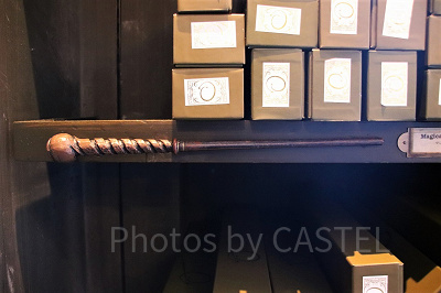 ヤナギ(4/15~5/12)