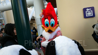 USJのお正月に登場したウィニー・ウッドペッカー