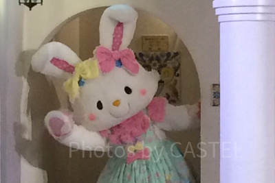 ウィッシュミーメル