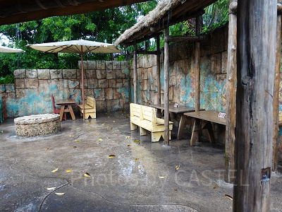 ユカタン・ベースキャンプ・グリル:古代遺跡に囲まれたテラス席