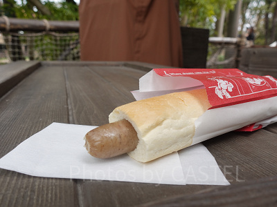 【ユカタンソーセージドッグ】4/30 23:59まで ユカタンドッグを食べよう!エクスペディション・イート解説