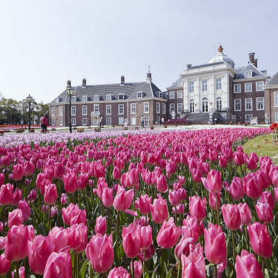 1時間前の入園特典