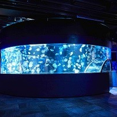 360度パノラマ水槽「GURURI」