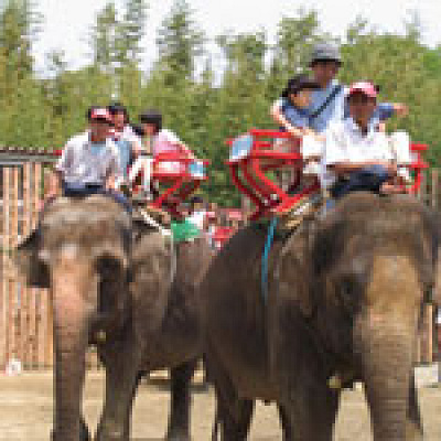 無料送迎バスも用意されています