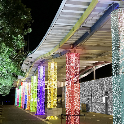 多彩な光に包まれたゲート