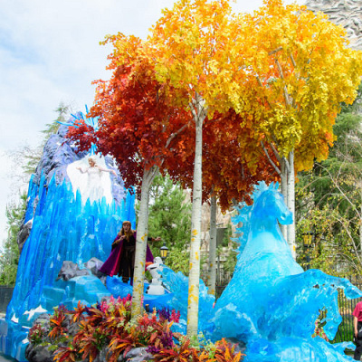 A Magical Forest